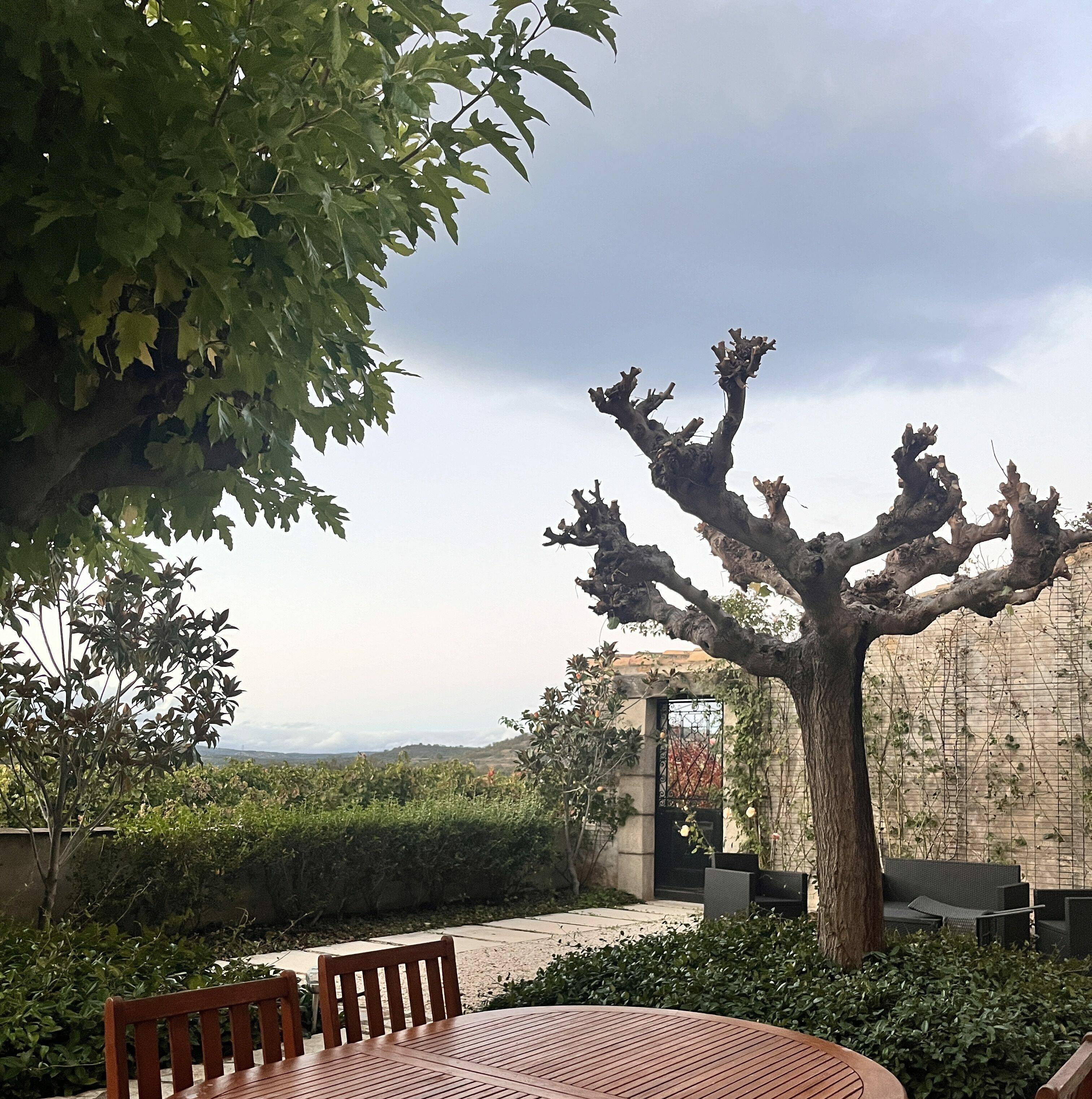 terasse-chambres d'hôtes