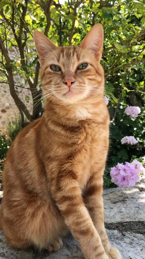 Likcy-qui-sommes-nous